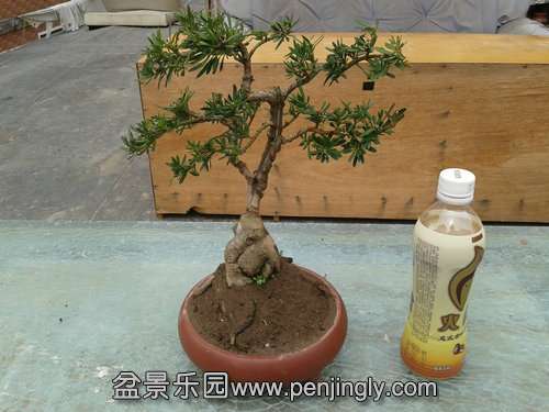 2014-03-07 12.47.26.jpg