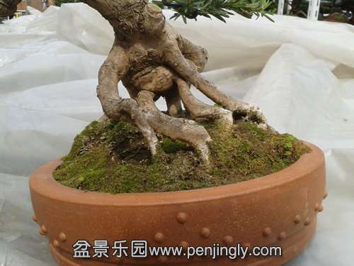 2014-03-07 12.59.21.jpg