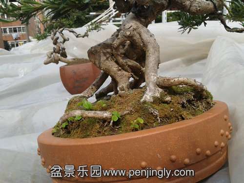 2014-03-07 13.01.40.jpg