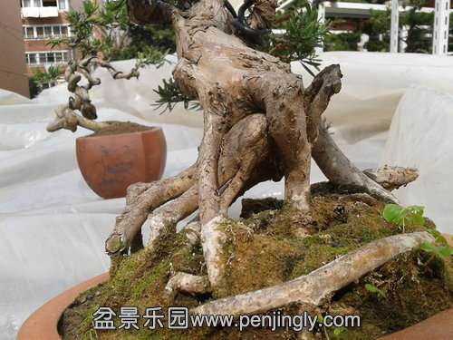 2014-03-07 13.02.03.jpg