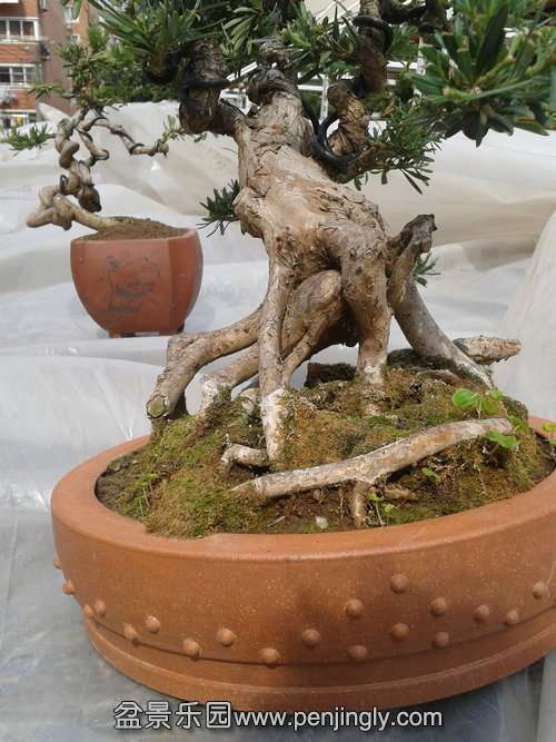 2014-03-07 13.02.21.jpg