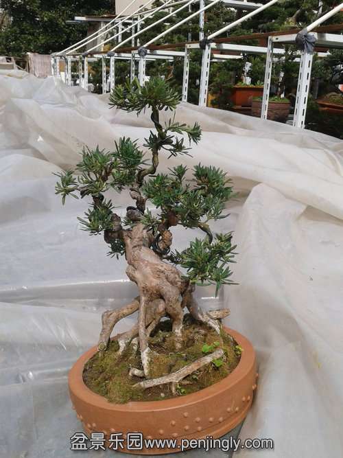 2014-03-07 13.03.48.jpg