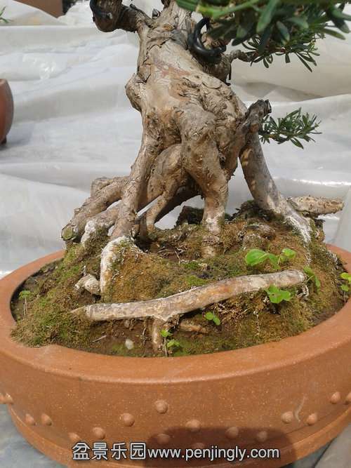 2014-03-07 13.03.31.jpg