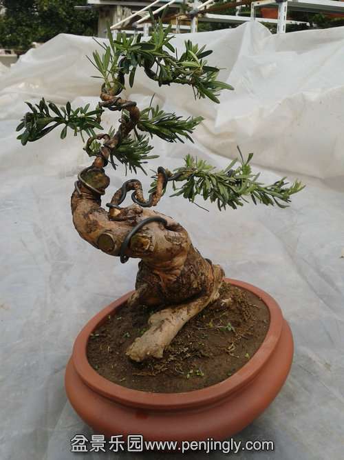 2014-03-07 13.07.01.jpg