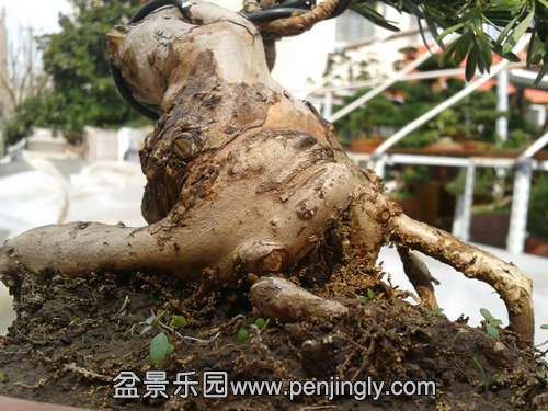 2014-03-07 13.10.33.jpg