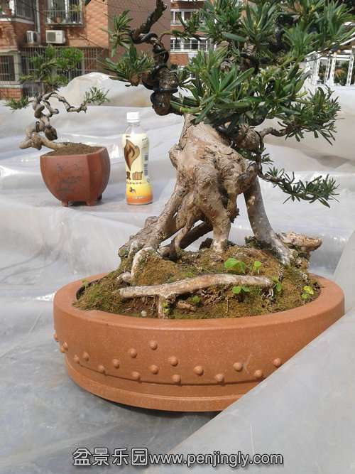 2014-03-07 13.15.16.jpg