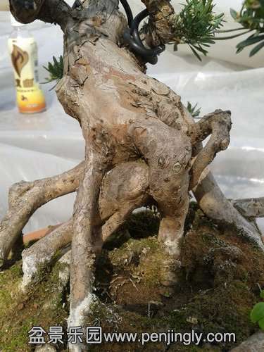 2014-03-07 13.15.39.jpg