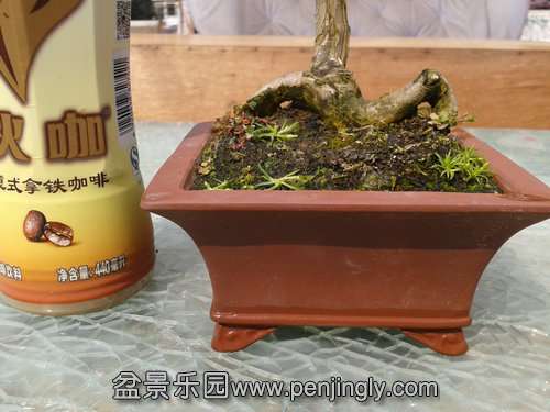 2014-03-07 13.29.26.jpg