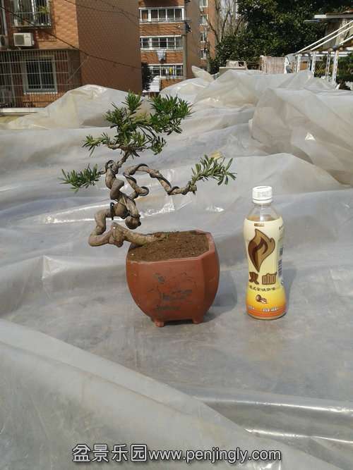 2014-03-07 13.16.26.jpg