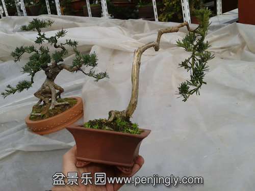 2014-03-07 13.36.04.jpg