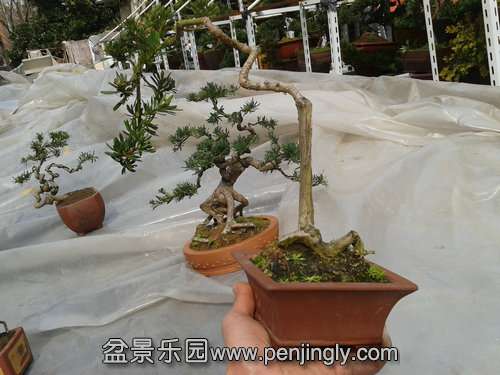 2014-03-07 13.33.51.jpg