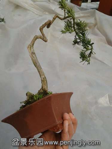 2014-03-07 13.36.22.jpg