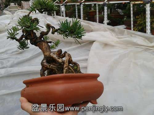 2014-03-07 13.51.21.jpg