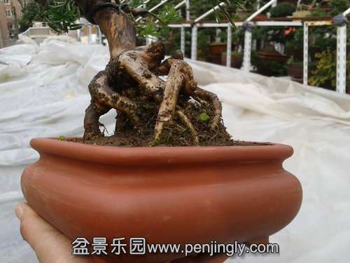 2014-03-07 13.53.31.jpg