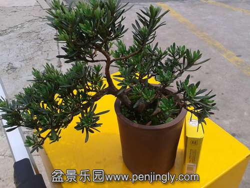 ���� 2013-06-10 14.19.45.jpg