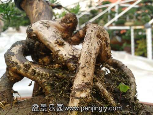 2014-03-07 13.53.44.jpg