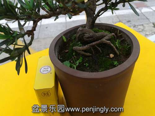 ���� 2013-06-10 14.20.28.jpg