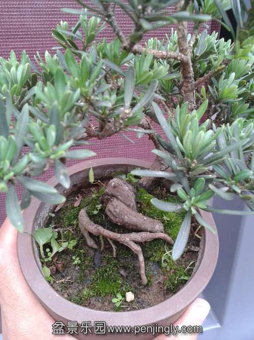 ���� 2013-06-10 14.22.08.jpg