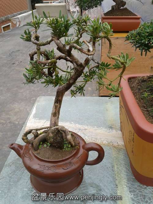 2014-03-06 13.49.39.jpg