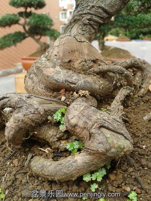 2014-03-06 12.55.01.jpg