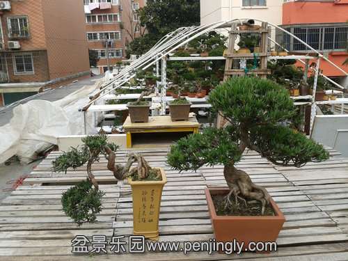 2014-03-06 12.56.51.jpg