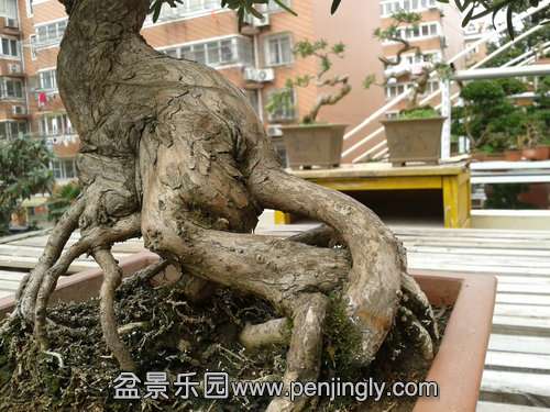 2014-03-06 12.57.22.jpg