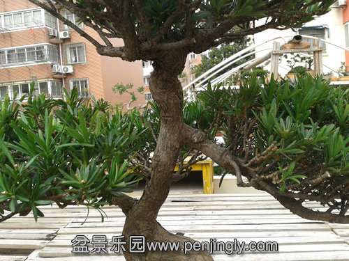 2014-03-06 12.57.33.jpg