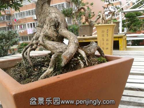 2014-03-06 12.59.51.jpg