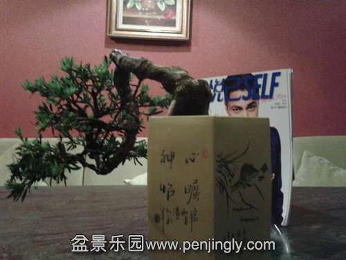 2013-05-15 17.37.59.jpg