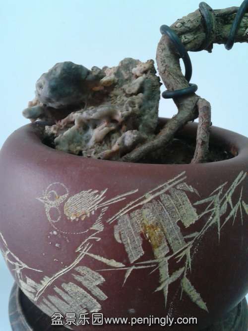 2014-01-12 12.35.07.jpg