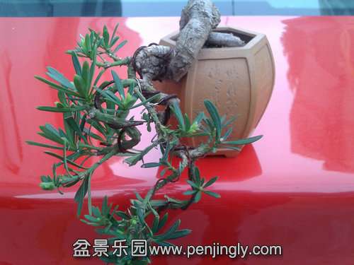 2013-04-17 17.15.54.jpg