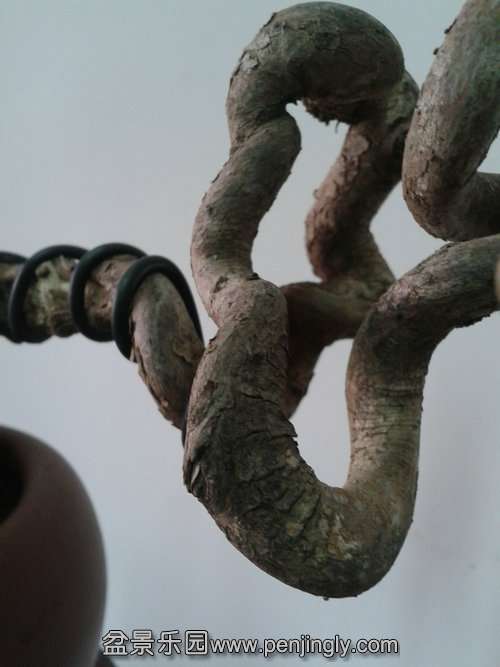 2014-01-12 12.35.20.jpg