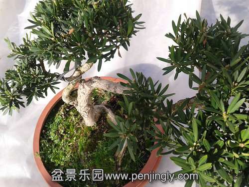 2014-02-04 14.34.38.jpg