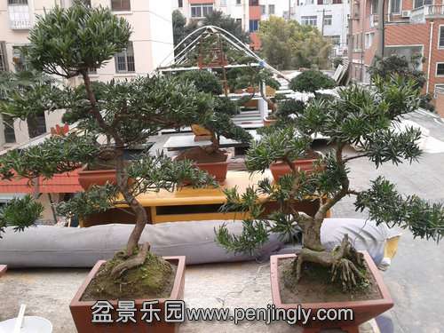 2014-03-06 12.50.24.jpg