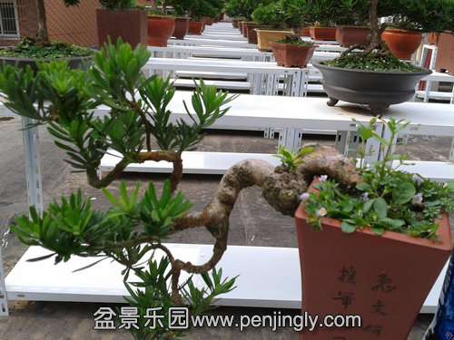 2013-07-07 15.27.42.jpg