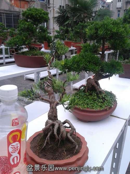 2013-07-07 18.16.09.jpg