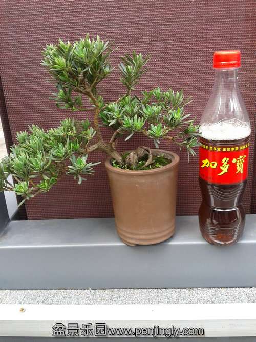 2013-06-10 14.21.03.jpg