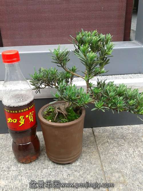 2013-06-10 14.21.49.jpg