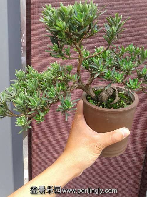 2013-06-10 14.22.50.jpg