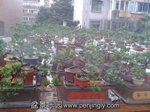 2013-06-21 18.24.39.jpg