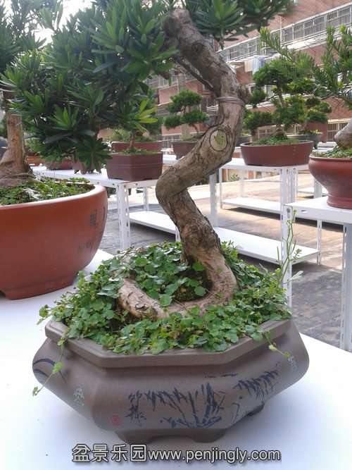 2013-07-09 15.40.40.jpg