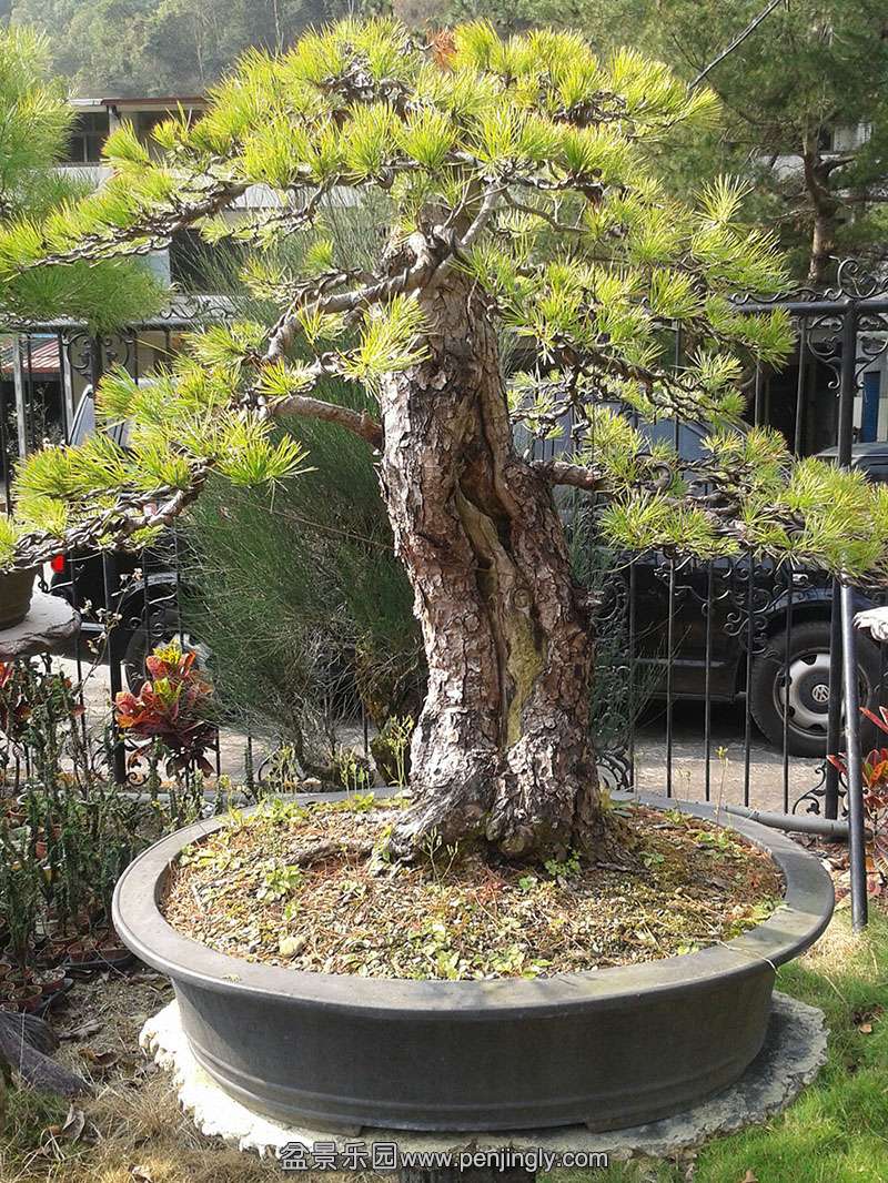 20140208_0952053.jpg