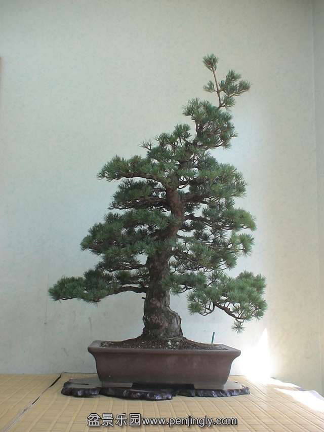 c0042153_602479.jpg