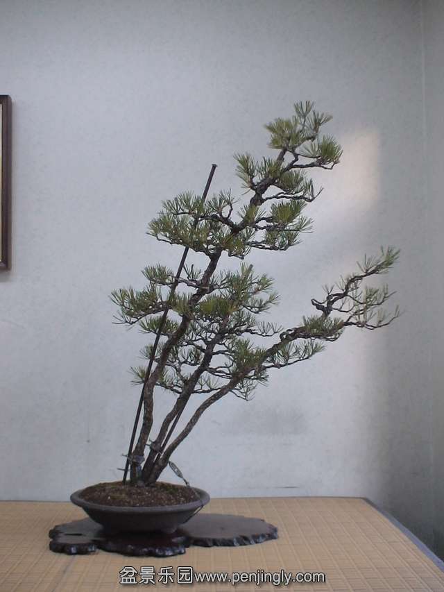 c0042153_846596.jpg