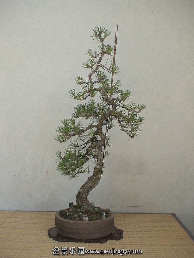 c0042153_945612.jpg