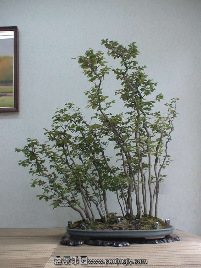 c0042153_5332848.jpg