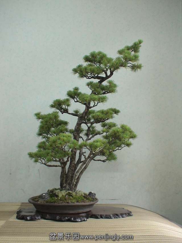 c0042153_6205253.jpg