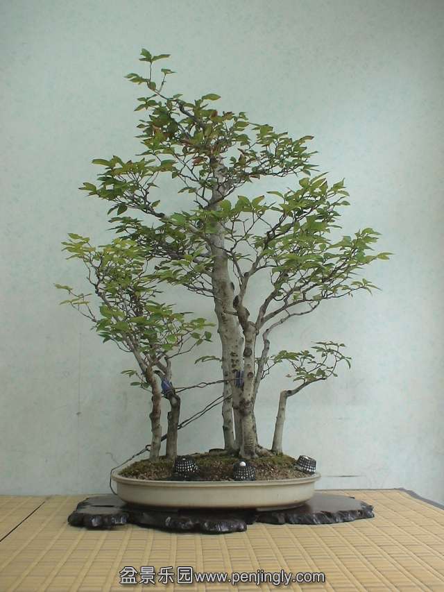 c0042153_6253174.jpg