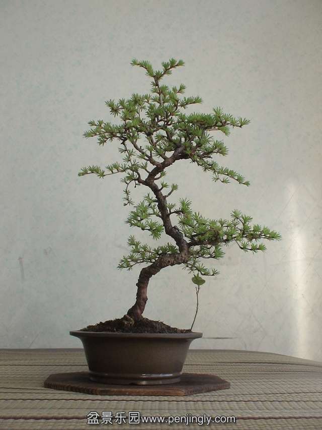 c0042153_6305972.jpg