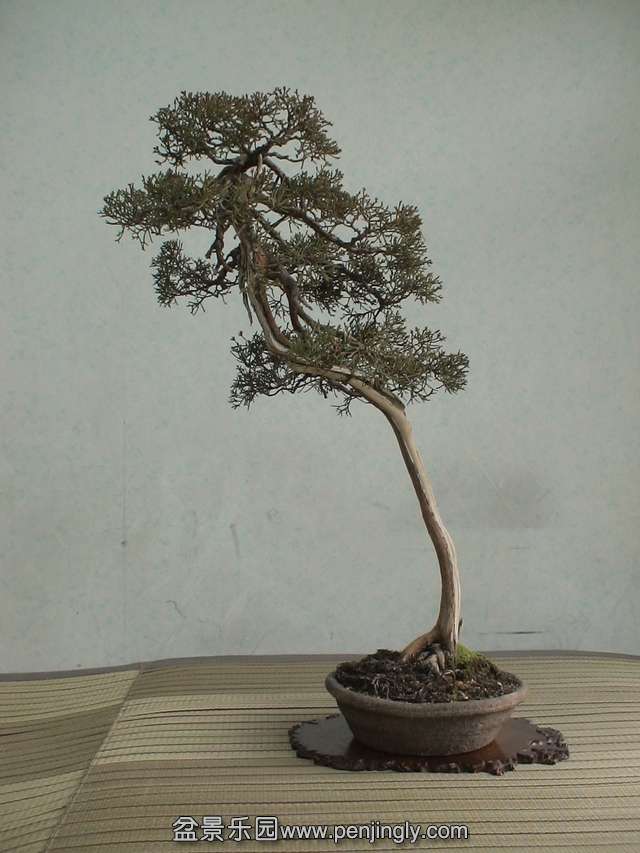 c0042153_7142787.jpg
